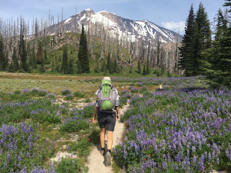 The south side of Mt Adams, WA