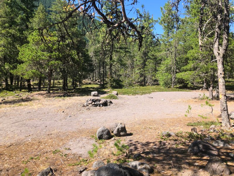 On the Sandy River near McNeil, OR