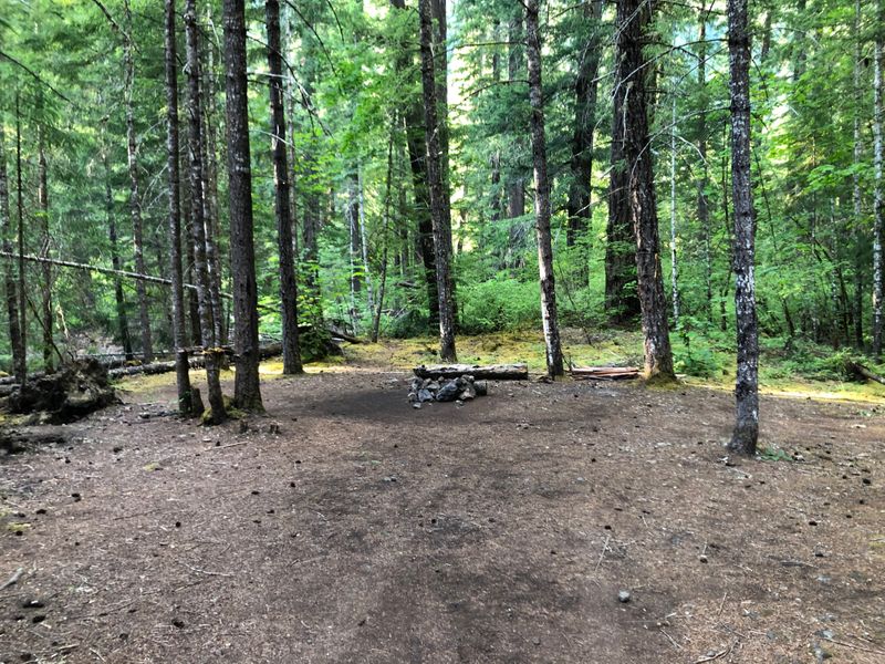 Lost Creek, on the McKenzie Pass highway, OR