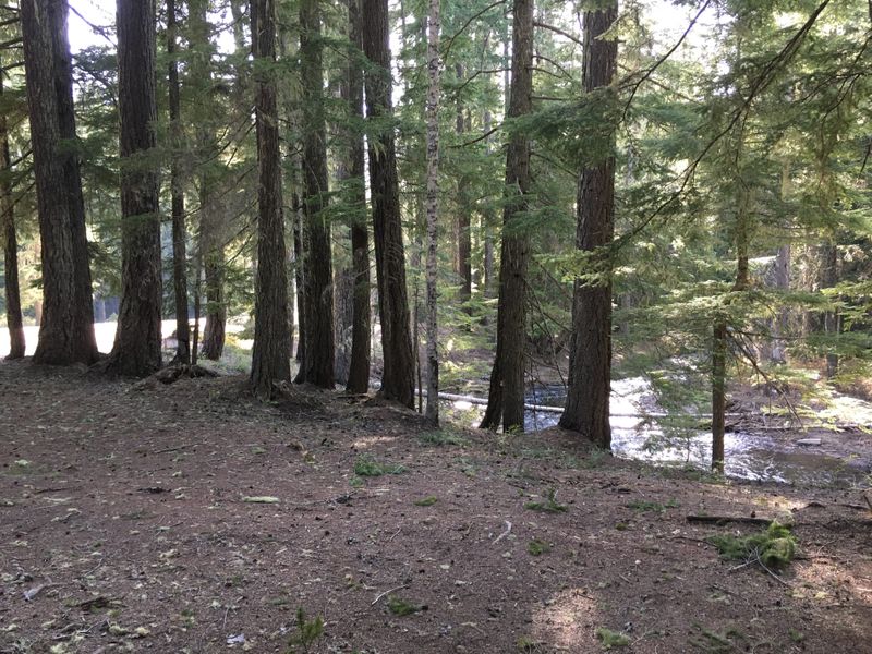 By Lost Creek, Gifford Pinchot National Forest, WA