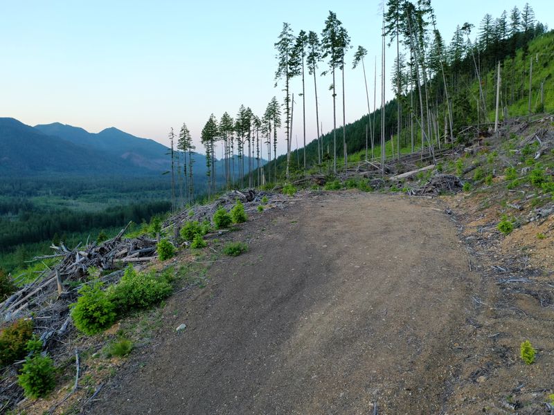 State land in Mason County, WA