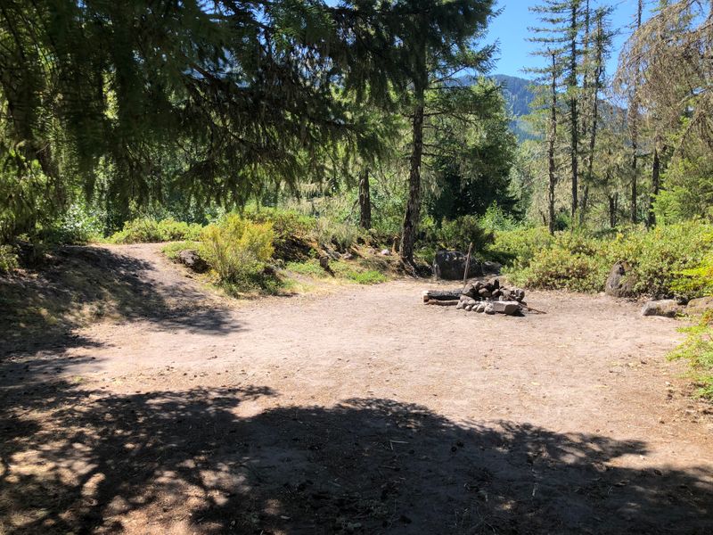 On the Sandy River near McNeil, OR