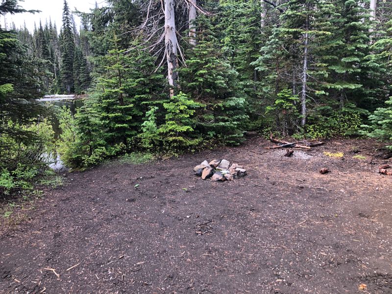 Near Craig Lake, on the McKenzie Pass highway, OR