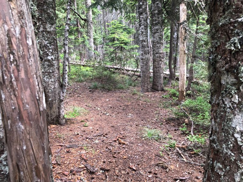 Rainy Lake Campground, OR