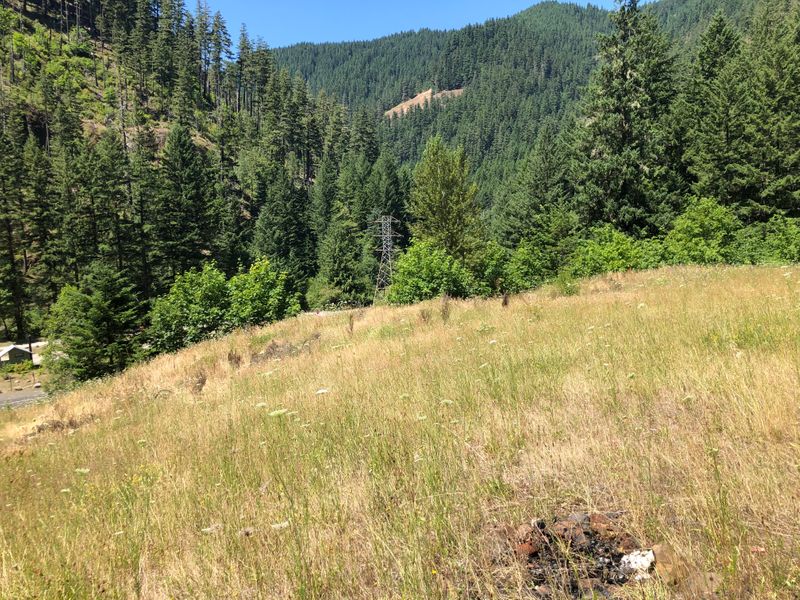 Above the Clackamas near Roaring River, OR