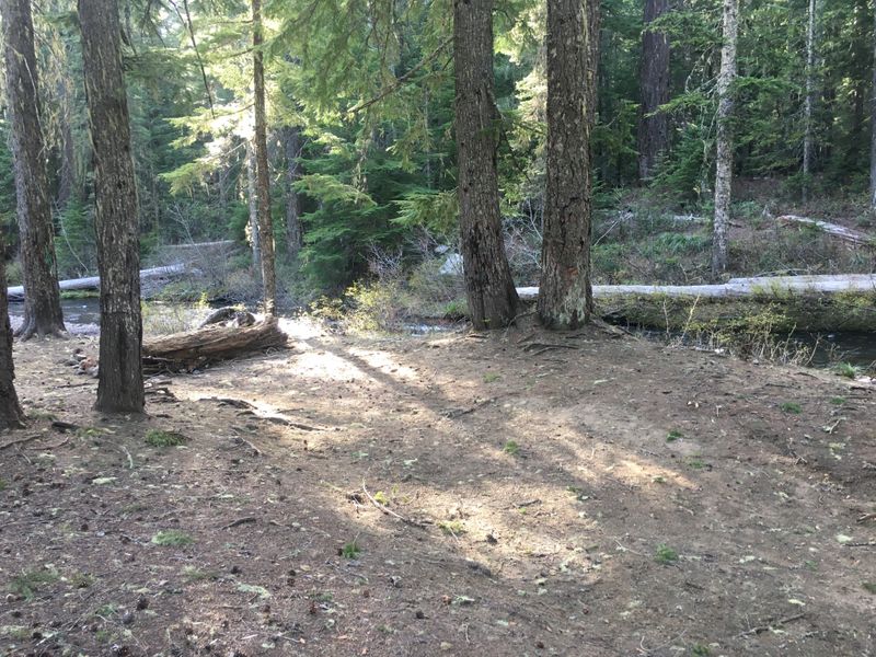 By Lost Creek, Gifford Pinchot National Forest, WA