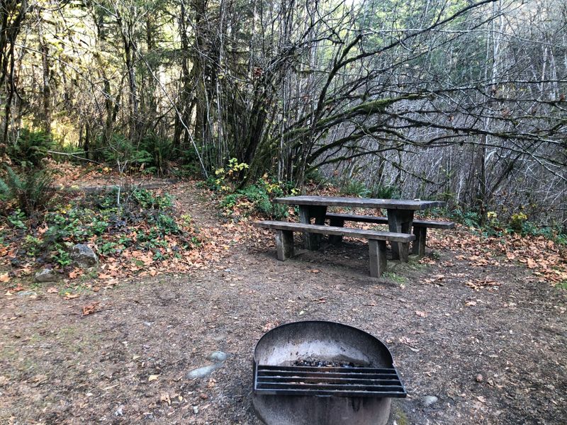Site 14, Sunset Falls Campground, WA