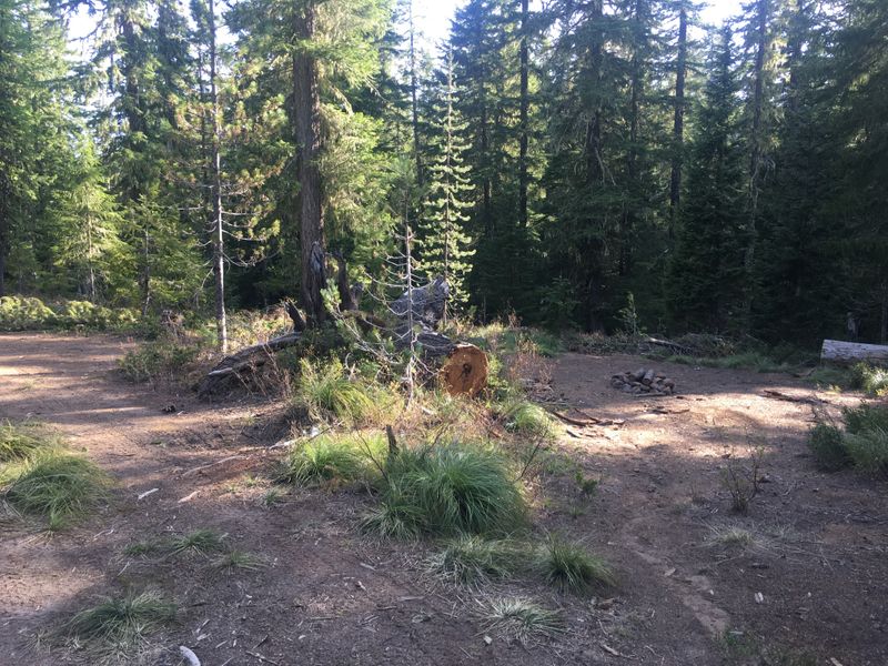By Lost Creek, Gifford Pinchot National Forest, WA