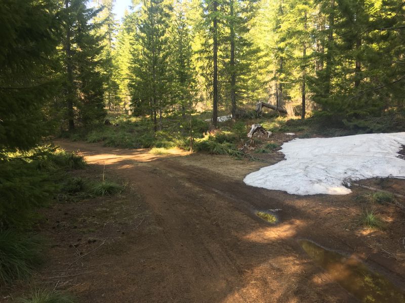 By Lost Creek, Gifford Pinchot National Forest, WA