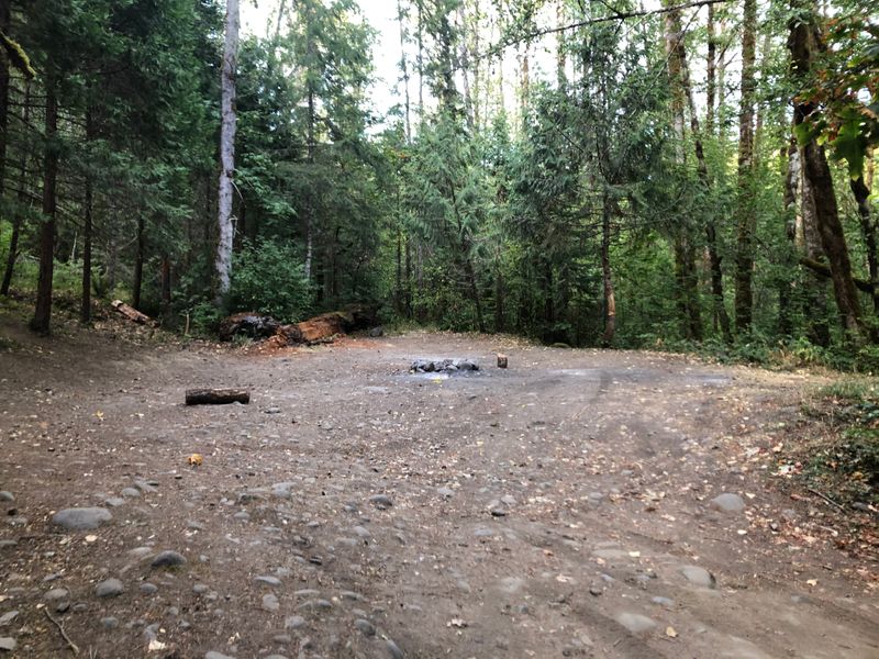 By Salmon Creek, Willamette National Forest, OR