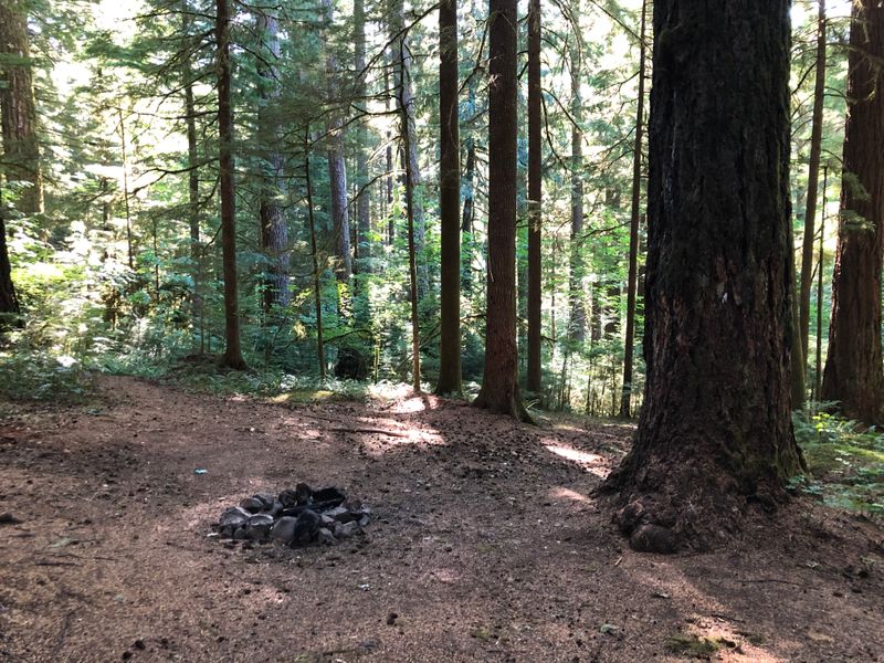 By Bull Creek, on the Clackamas, OR