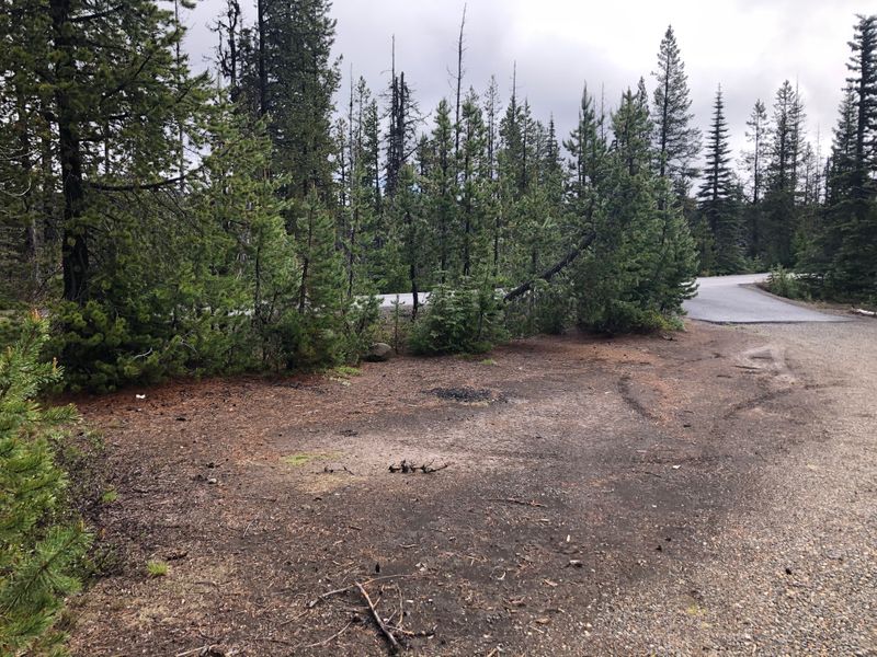 Near Craig Lake, on the McKenzie Pass highway, OR