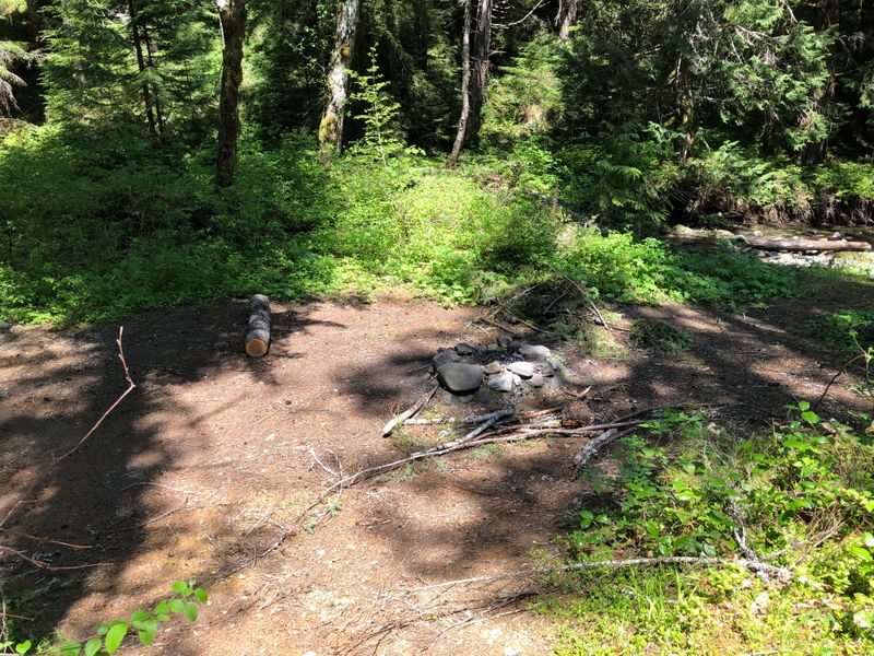 Slab Camp, Olympic National Forest, WA