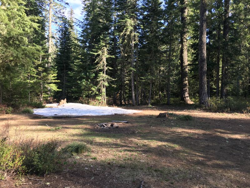Gifford Pinchot National Forest, WA