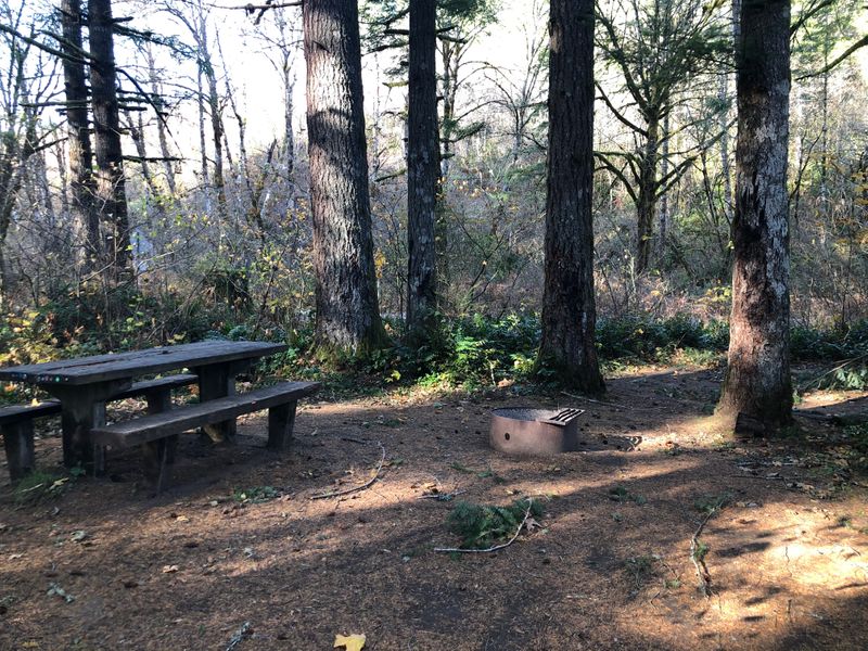 Site 5, Sunset Falls Campground, WA