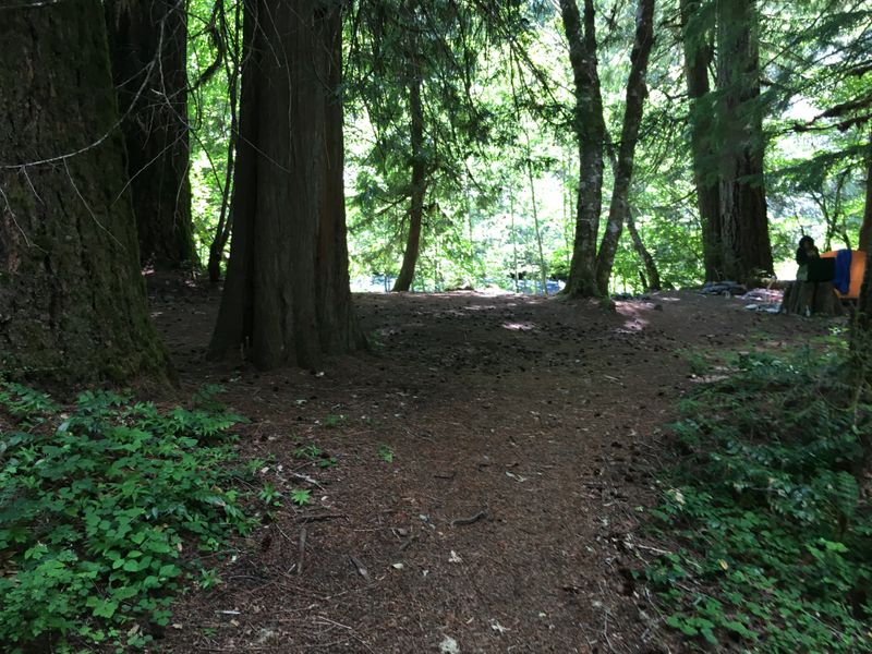 Near Bigelow Hot Spring, on the McKenzie River, OR