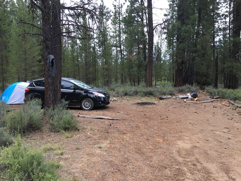 By the Fall River, Deschutes County, OR