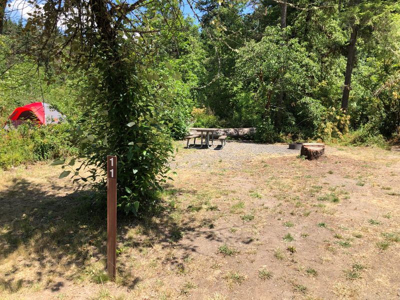 Site 11, North Santiam State Recreation Area, OR