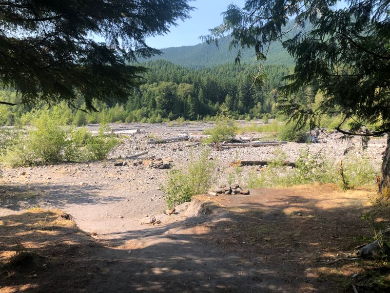 On the Nisqually below Mt Rainier, WA