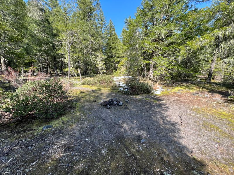 On the Sandy River near McNeil, OR