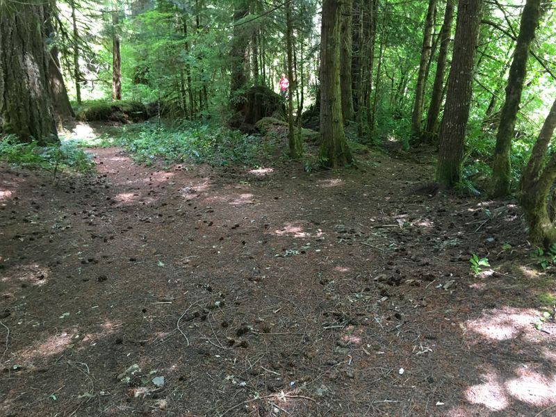 Near Bigelow Hot Spring, on the McKenzie River, OR