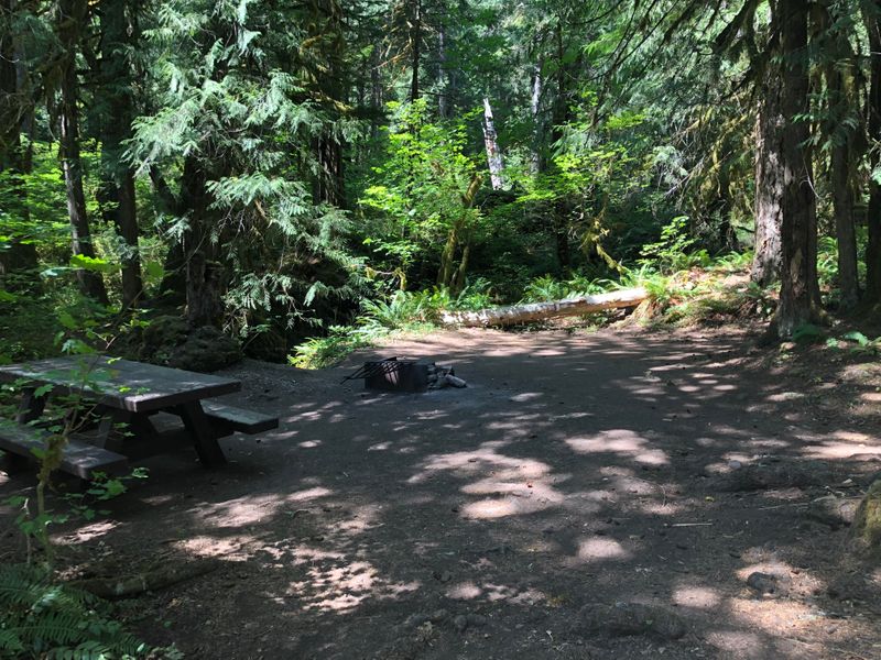 Site 7, Ripplebrook Campground, OR