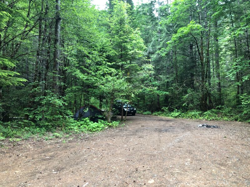 On the McKenzie Pass highway, OR