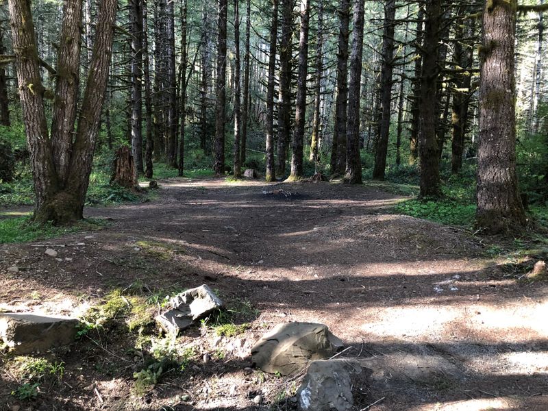 By the Devils Lake Fork of the Wilson River, Tillamook State Forest, OR