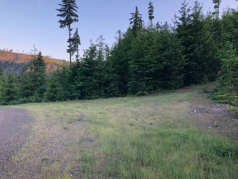 State land in Mason County, WA