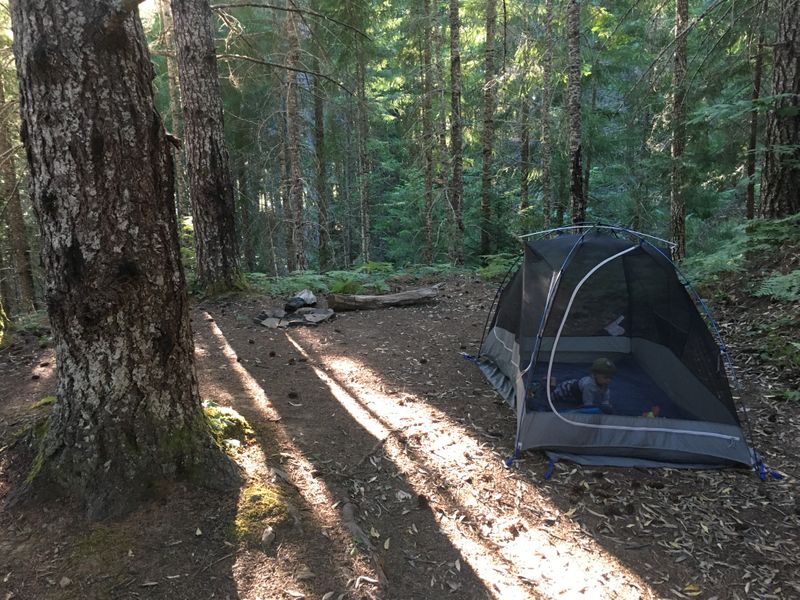 Above Cougar Reservoir, Willamette National Forest, OR