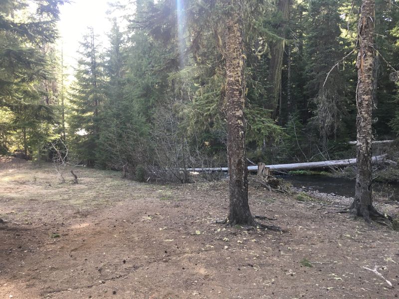 By Lost Creek, Gifford Pinchot National Forest, WA