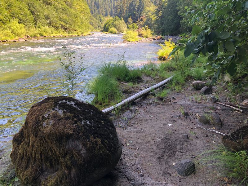 On the Clackamas below Ripplebrook, OR